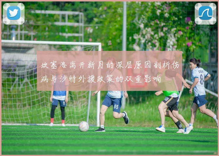 坎塞洛离开新月的深层原因剖析伤病与沙特外援政策的双重影响